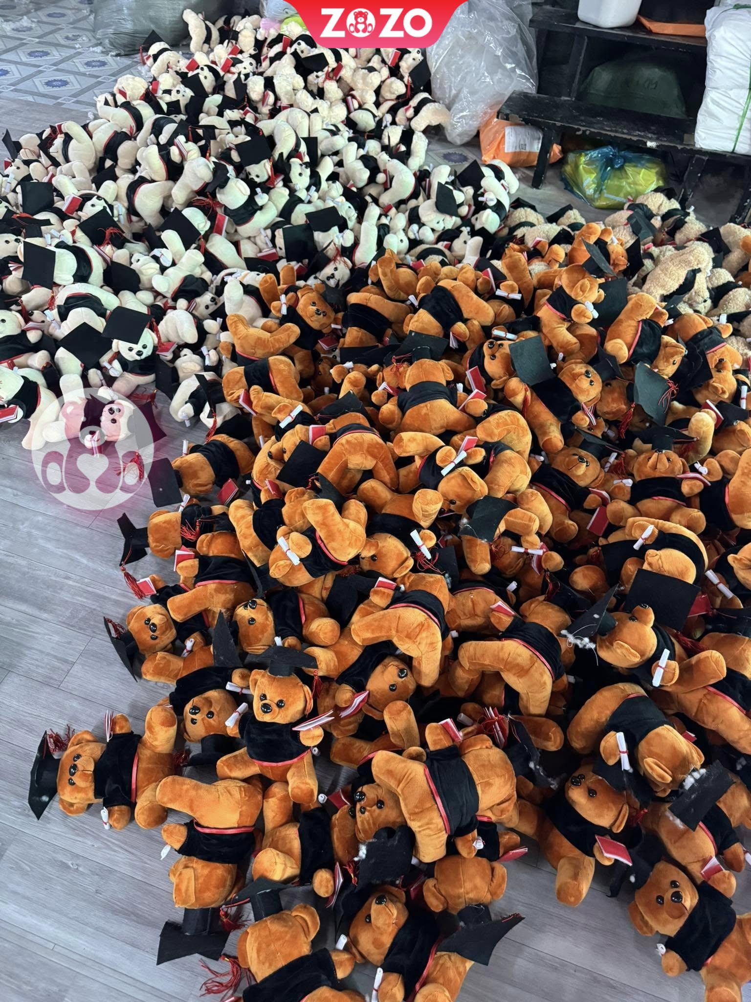 Gau Bong Tot Nghiep 10