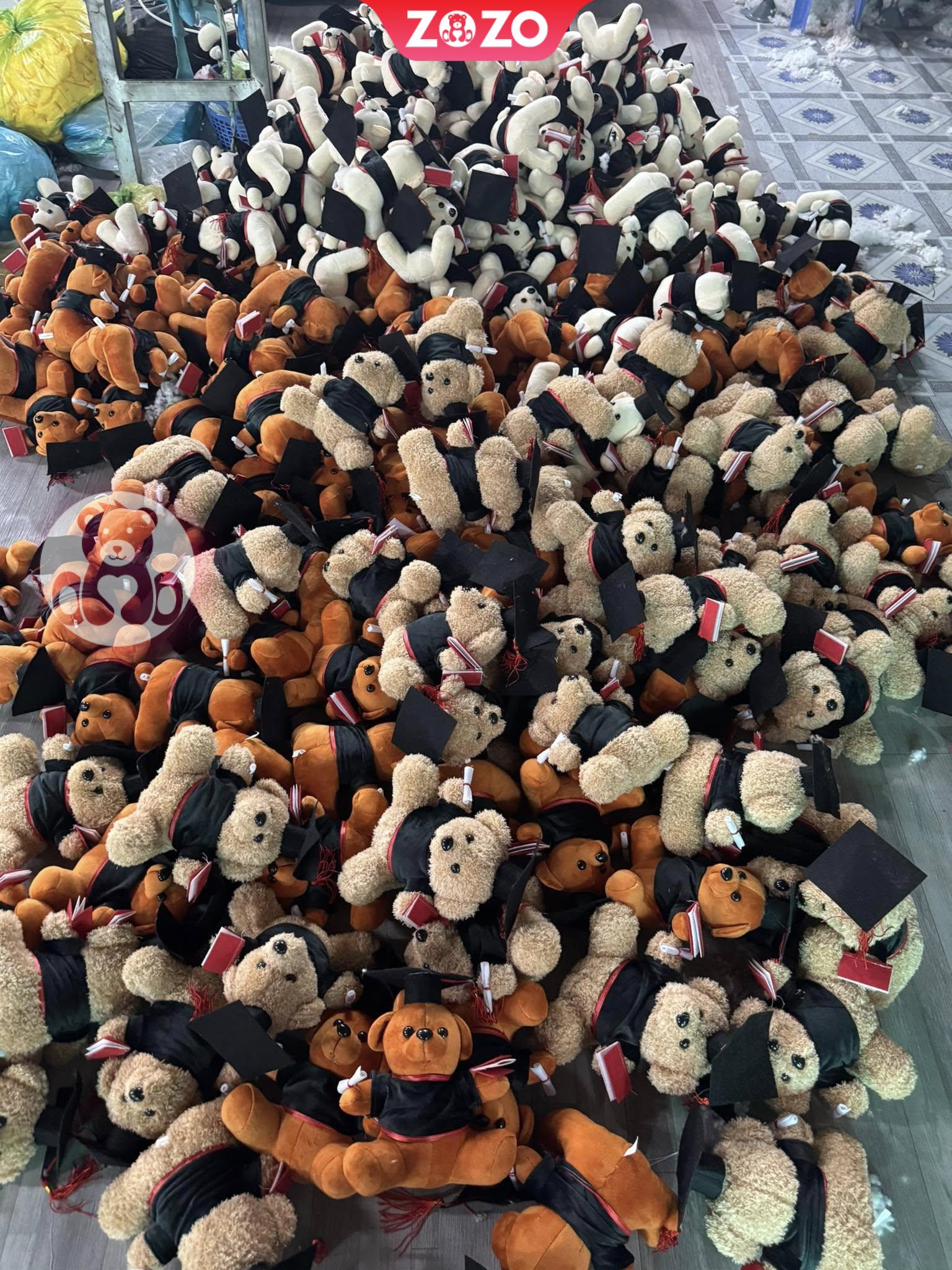 Gau Bong Tot Nghiep 12