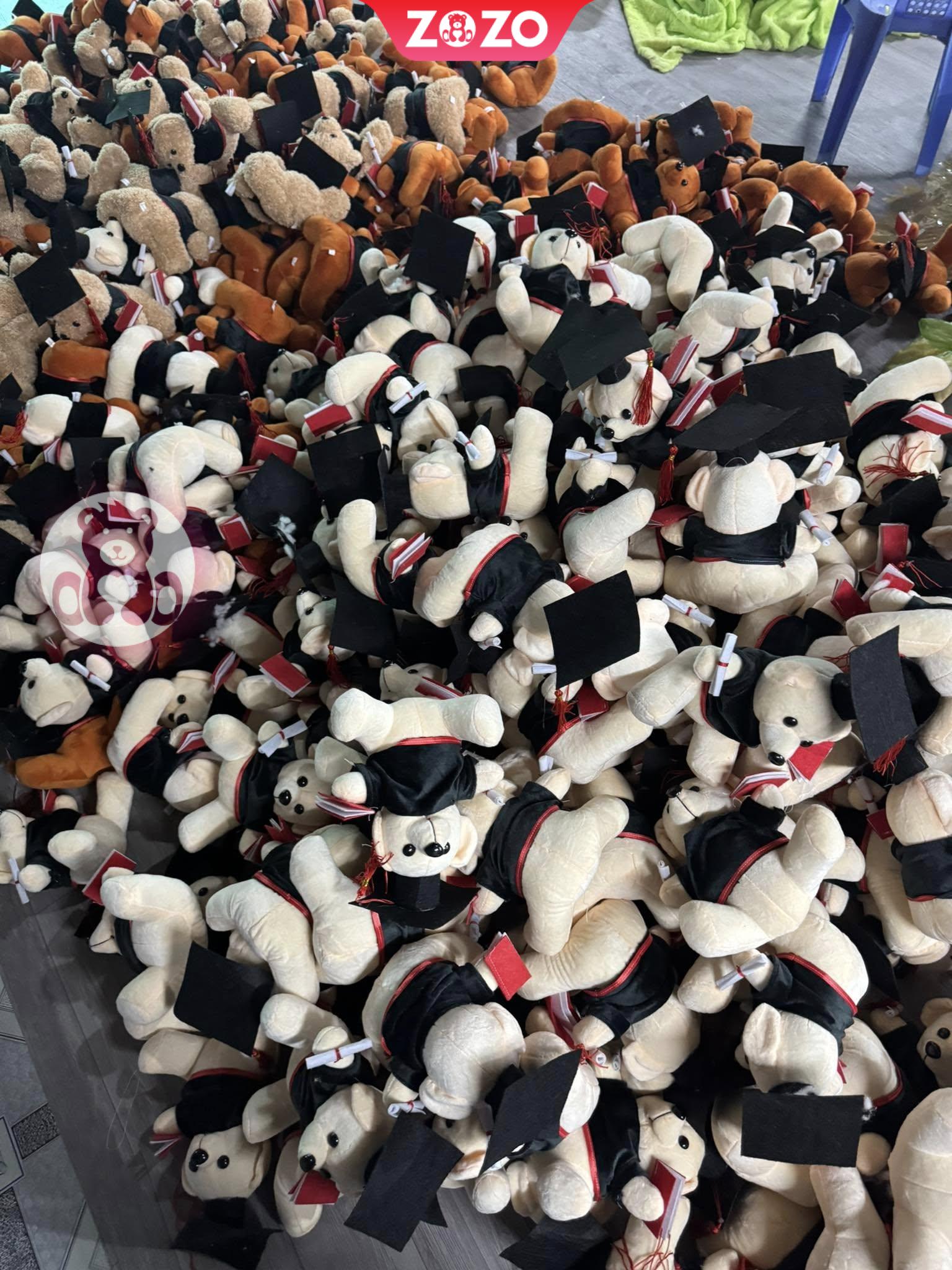 Gau Bong Tot Nghiep 13