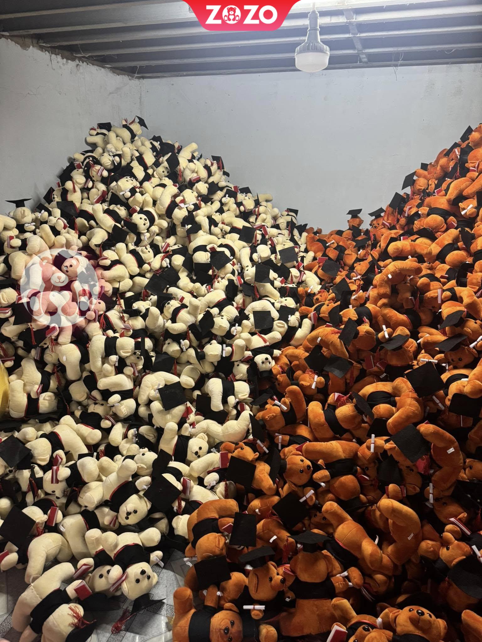 Gau Bong Tot Nghiep 8