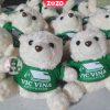 Gấu bông quà tặng thiết kế riêng độc đáo