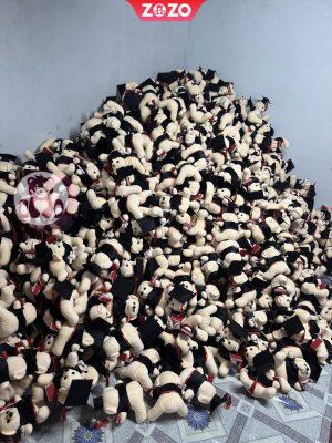 Gau Bong Tot Nghiep 11